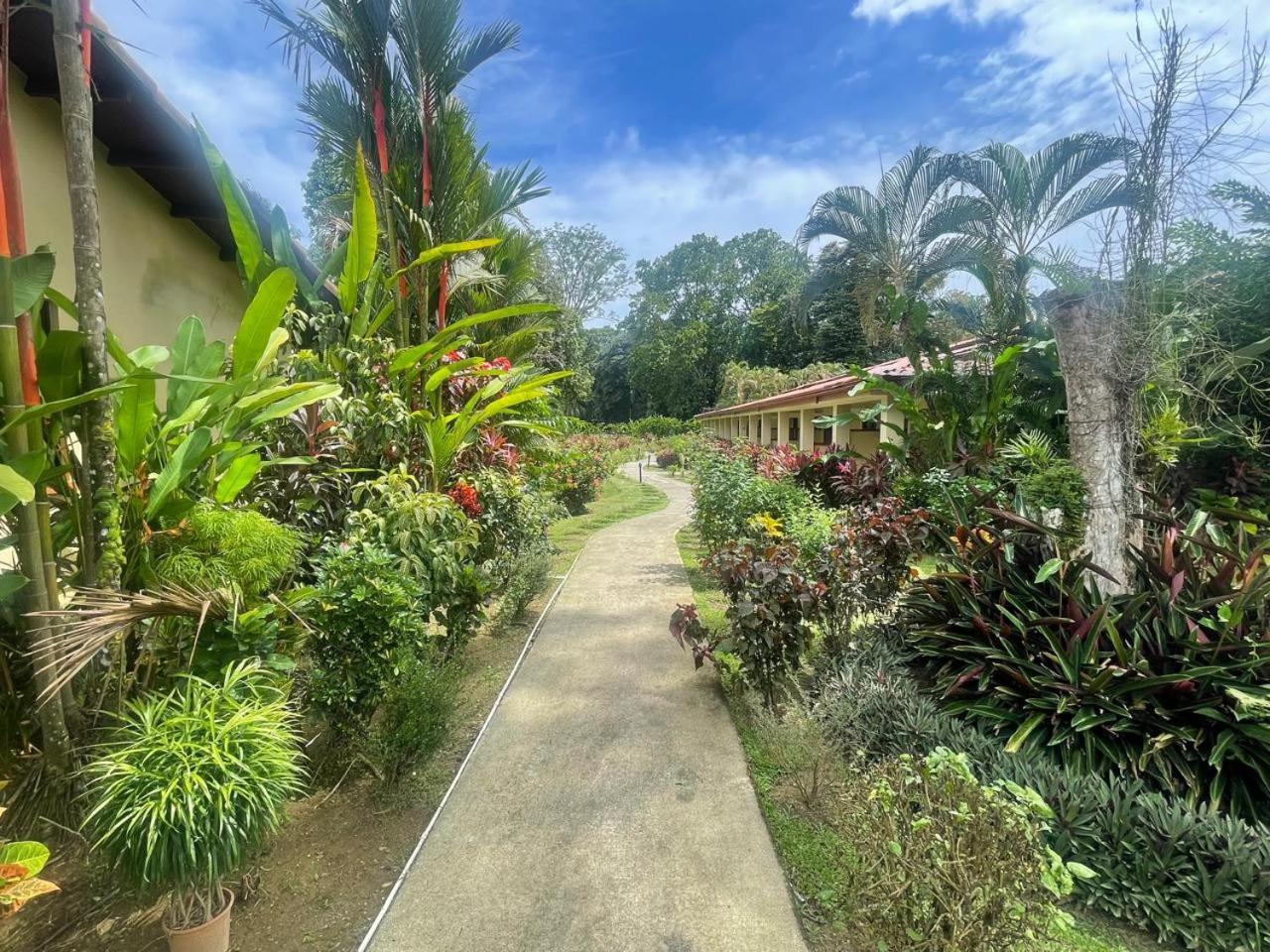 קפוס La Foresta Nature Resort מראה חיצוני תמונה