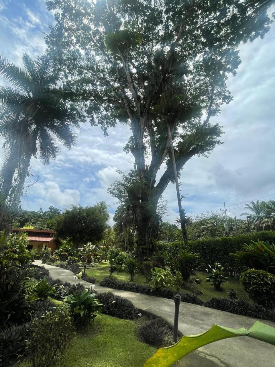 קפוס La Foresta Nature Resort מראה חיצוני תמונה