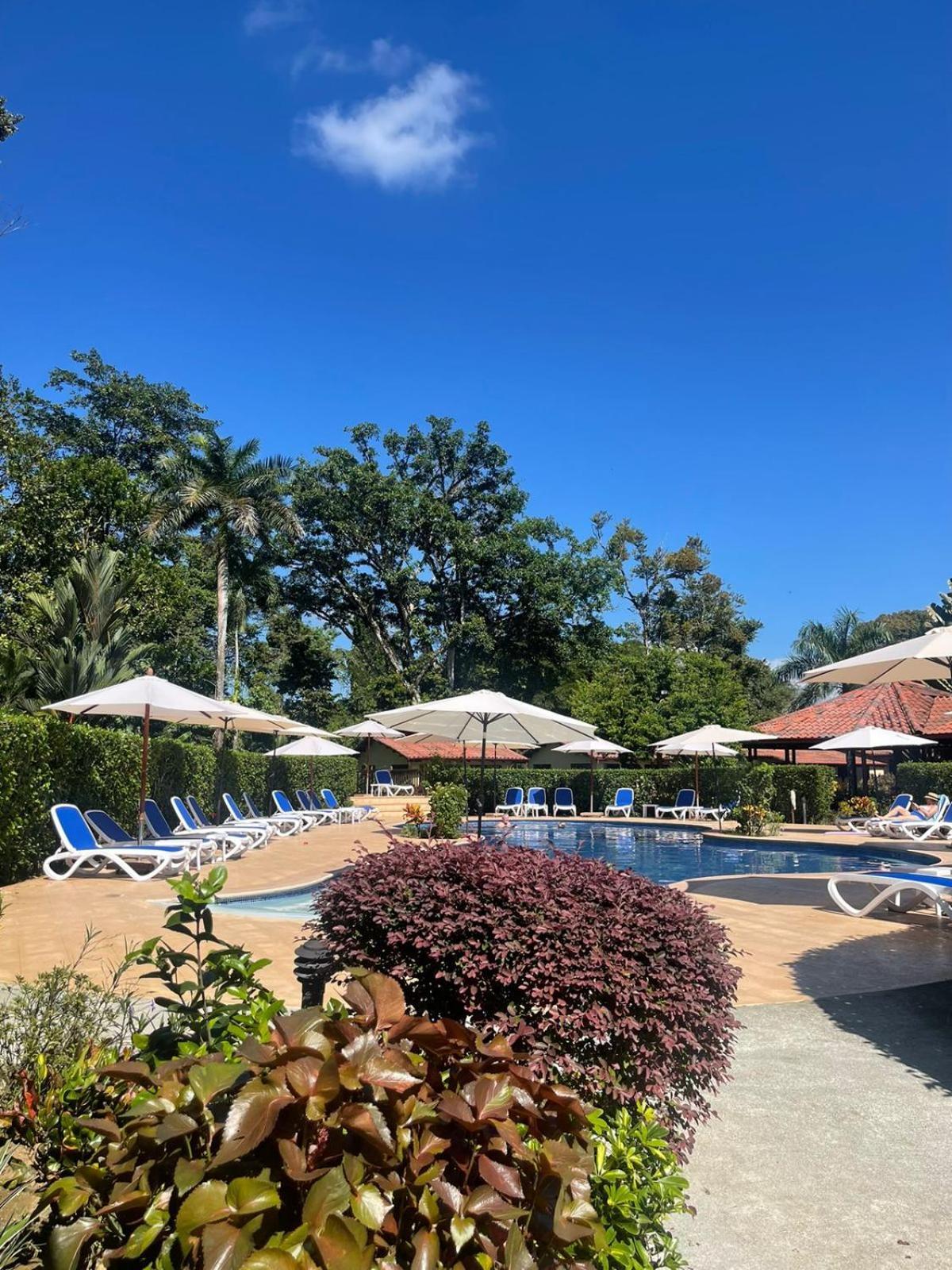 קפוס La Foresta Nature Resort מראה חיצוני תמונה